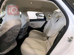 بي واي دي كوين L DM-i